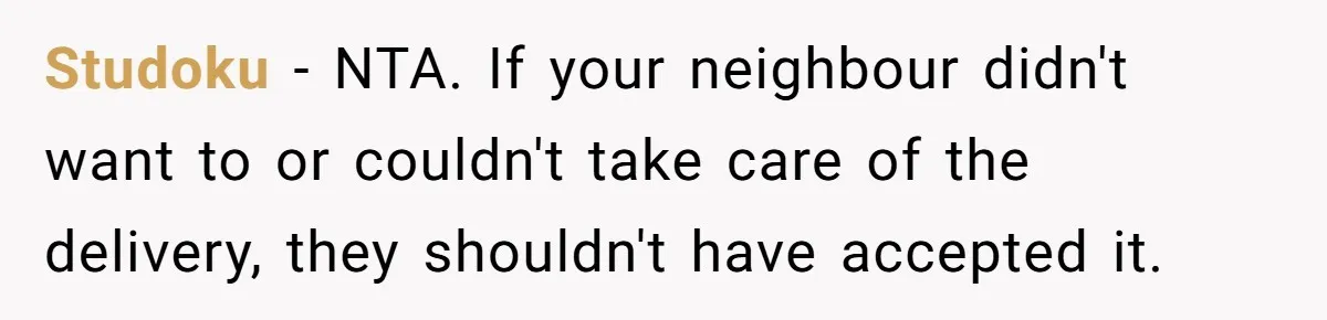 Studoku − NTA. If your neighbour didn't want to or couldn't take care of the delivery, they shouldn't have accepted it.