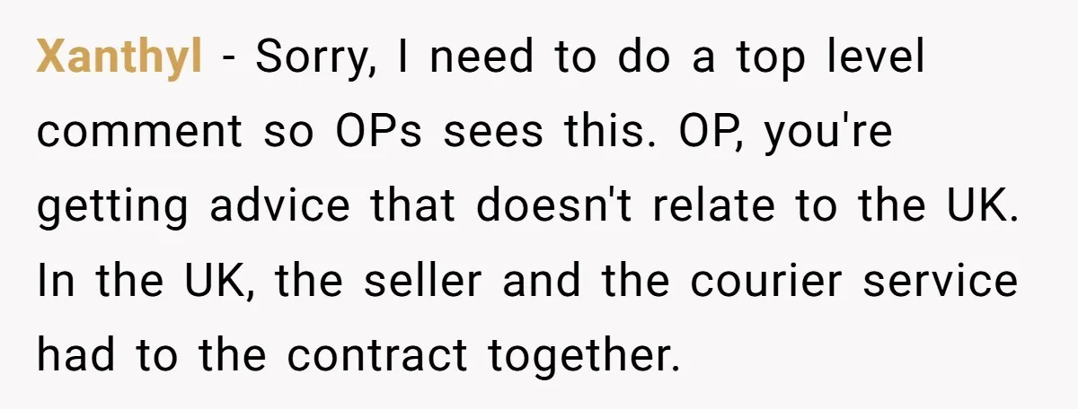 Xanthyl − Sorry, I need to do a top level comment so OPs sees this. OP, you're getting advice that doesn't relate to the UK. In the UK, the seller...
