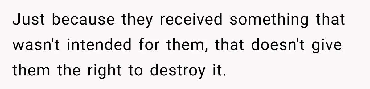 Just because they received something that wasn't intended for them, that doesn't give them the right to destroy it.