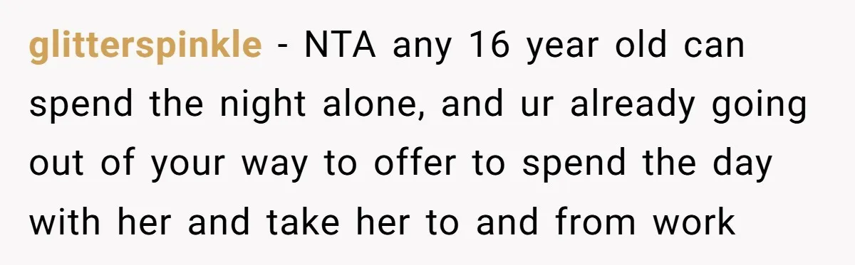 glitterspinkle − NTA any 16 year old can spend the night alone, and ur already going out of your way to offer to spend the day with her and take...