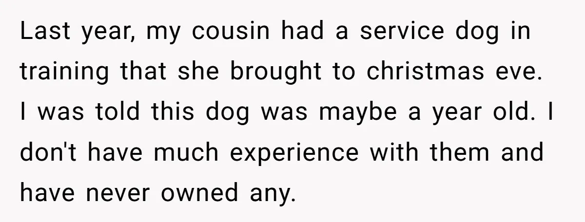 Last year, my cousin had a service dog in training that she brought to christmas eve. I was told this dog was maybe a year old. I don't have much...