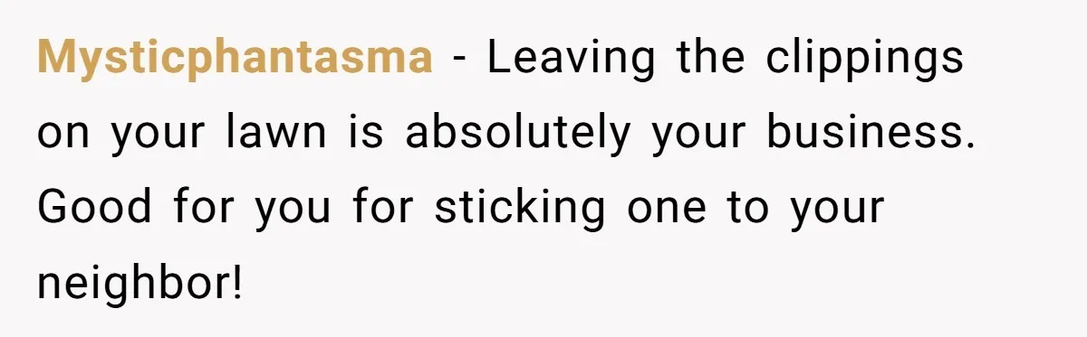 Mysticphantasma − Leaving the clippings on your lawn is absolutely your business. Good for you for sticking one to your neighbor!