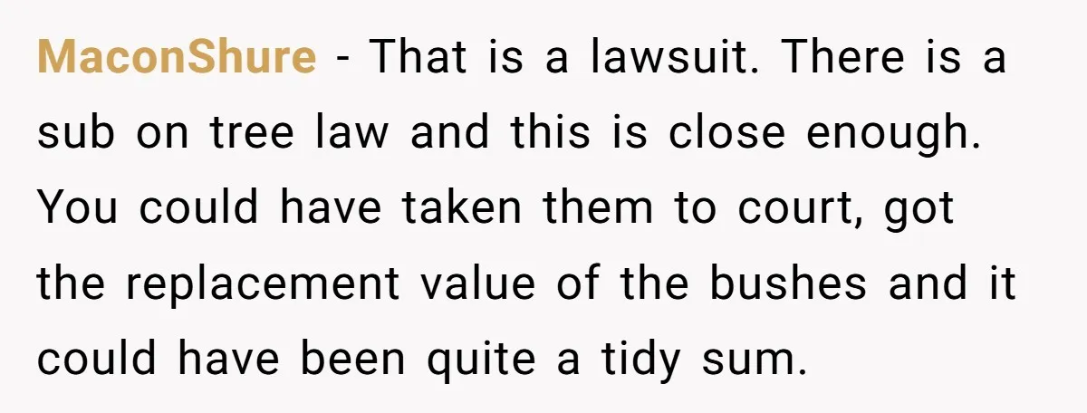 MaconShure − That is a lawsuit. There is a sub on tree law and this is close enough. You could have taken them to court, got the replacement value of...
