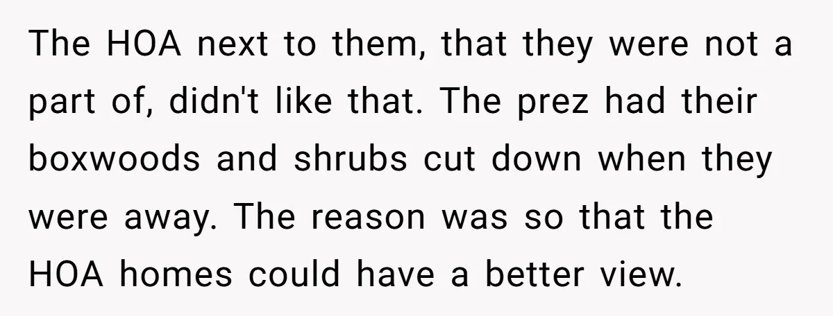 The HOA next to them, that they were not a part of, didn't like that. The prez had their boxwoods and shrubs cut down when they were away. The reason...