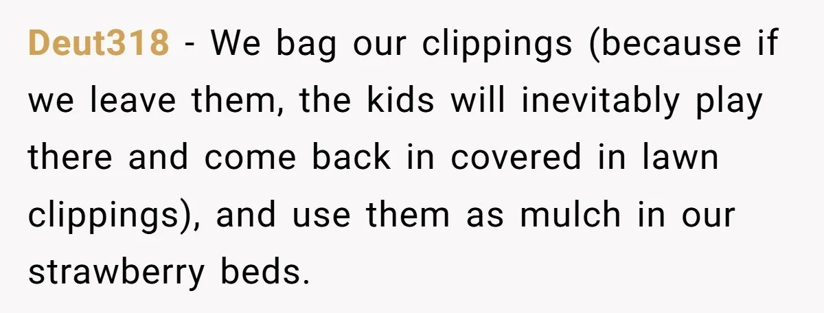 Deut318 − We bag our clippings (because if we leave them, the kids will inevitably play there and come back in covered in lawn clippings), and use them as mulch...