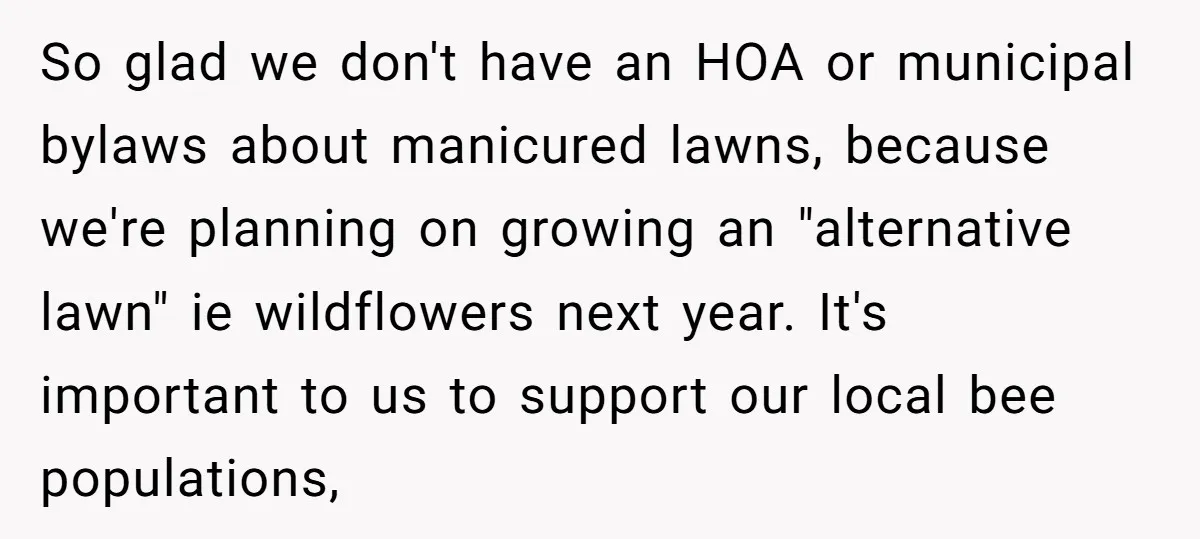 So glad we don't have an HOA or municipal bylaws about manicured lawns, because we're planning on growing an "alternative lawn" ie wildflowers next year. It's important to us to...