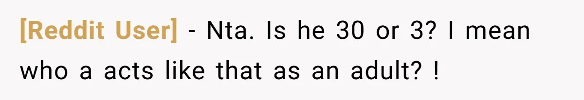 [Reddit User] − Nta. Is he 30 or 3? I mean who a acts like that as an adult? !