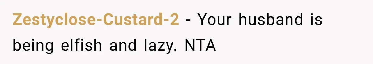 Zestyclose-Custard-2 − Your husband is being elfish and lazy. NTA