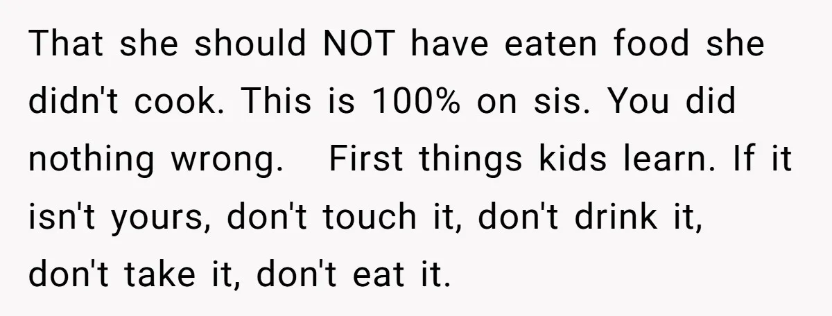 That she should NOT have eaten food she didn't cook. This is 100% on sis. You did nothing wrong. First things kids learn. If it isn't yours, don't touch it,...