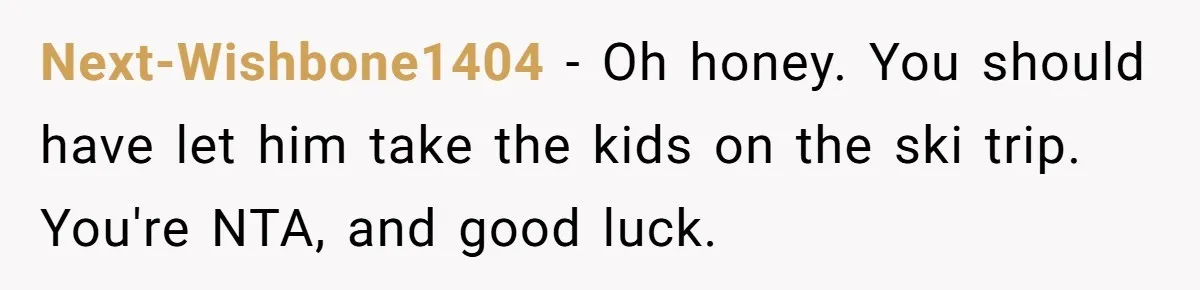 Next-Wishbone1404 − Oh honey. You should have let him take the kids on the ski trip. You're NTA, and good luck.
