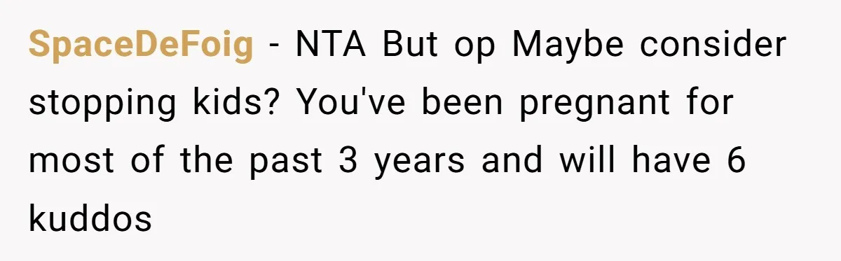 SpaceDeFoig − NTA But op Maybe consider stopping kids? You've been pregnant for most of the past 3 years and will have 6 kuddos