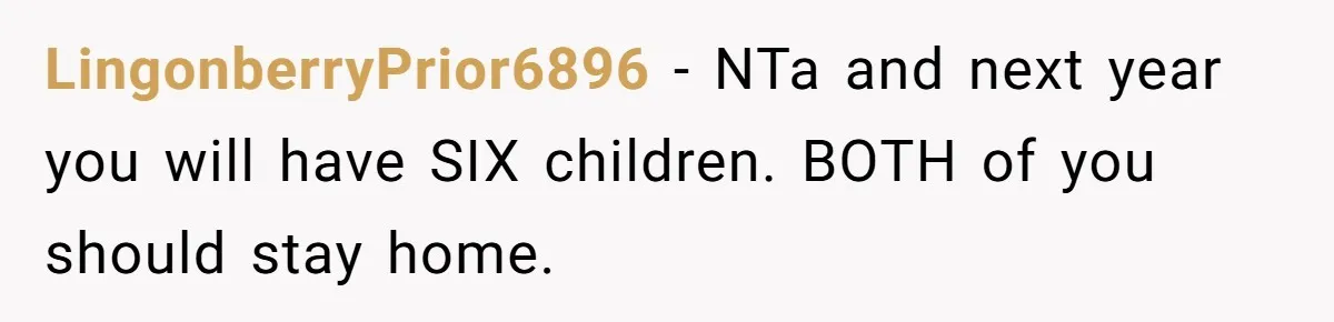 LingonberryPrior6896 − NTa and next year you will have SIX children. BOTH of you should stay home.