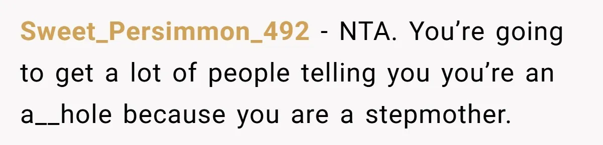 Sweet_Persimmon_492 − NTA. You’re going to get a lot of people telling you you’re an a__hole because you are a stepmother.