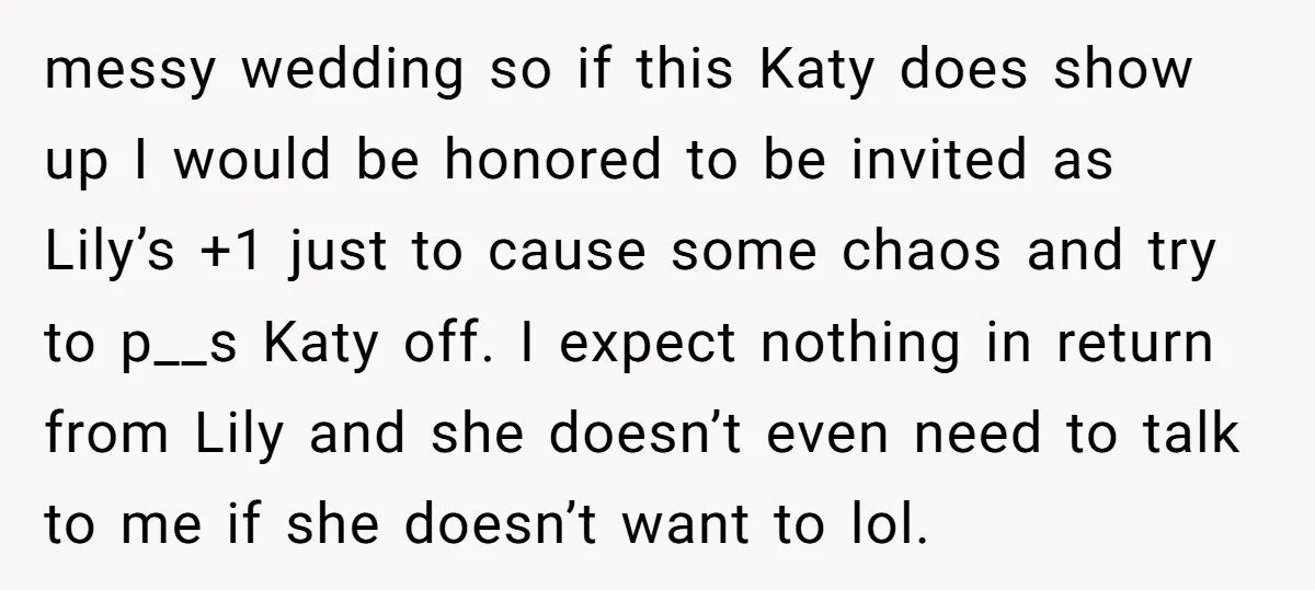 messy wedding so if this Katy does show up I would be honored to be invited as Lily’s +1 just to cause some chaos and try to p__s Katy off....
