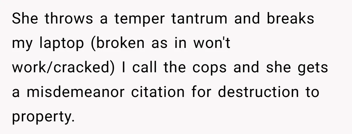 She throws a temper tantrum and breaks my laptop (broken as in won't work/cracked) I call the cops and she gets a misdemeanor citation for destruction to property.