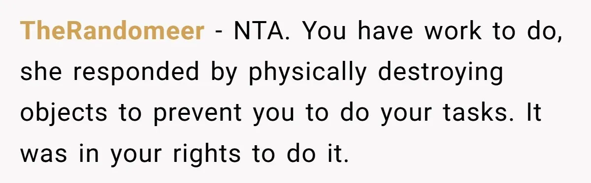 TheRandomeer − NTA. You have work to do, she responded by physically destroying objects to prevent you to do your tasks. It was in your rights to do it.