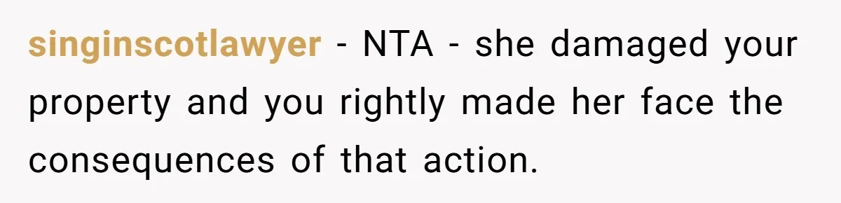 singinscotlawyer − NTA - she damaged your property and you rightly made her face the consequences of that action.
