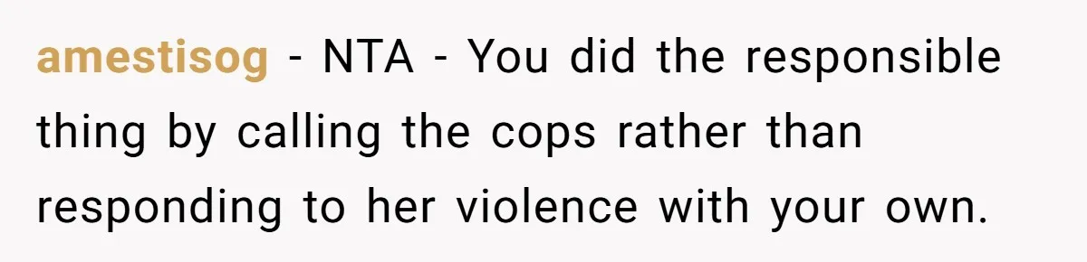 amestisog − NTA - You did the responsible thing by calling the cops rather than responding to her violence with your own.