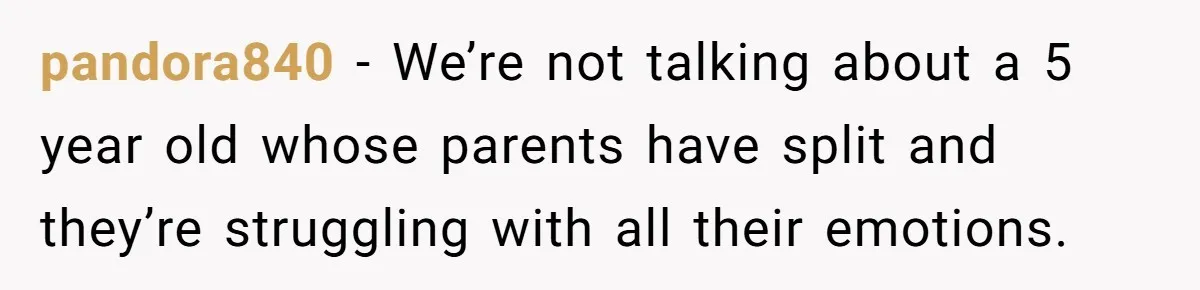 pandora840 − We’re not talking about a 5 year old whose parents have split and they’re struggling with all their emotions.