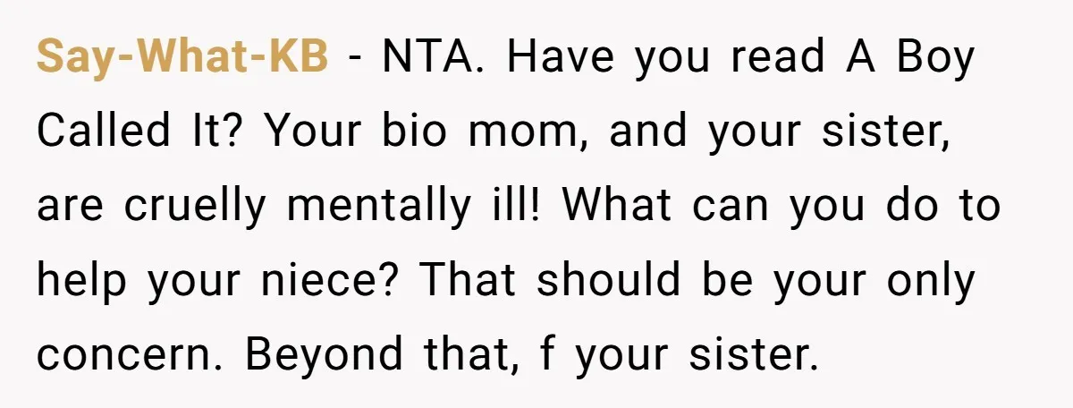 Say-What-KB − NTA. Have you read A Boy Called It? Your bio mom, and your sister, are cruelly mentally ill! What can you do to help your niece? That should...