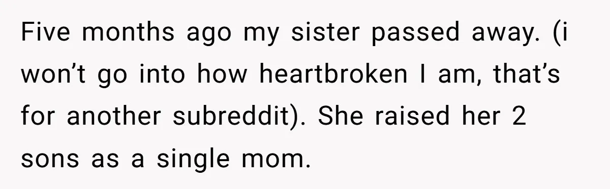 Five months ago my sister passed away. (i won’t go into how heartbroken I am, that’s for another subreddit). She raised her 2 sons as a single mom.
