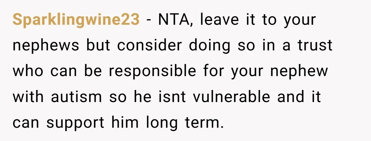 Sparklingwine23 − NTA, leave it to your nephews but consider doing so in a trust who can be responsible for your nephew with autism so he isnt vulnerable and it...