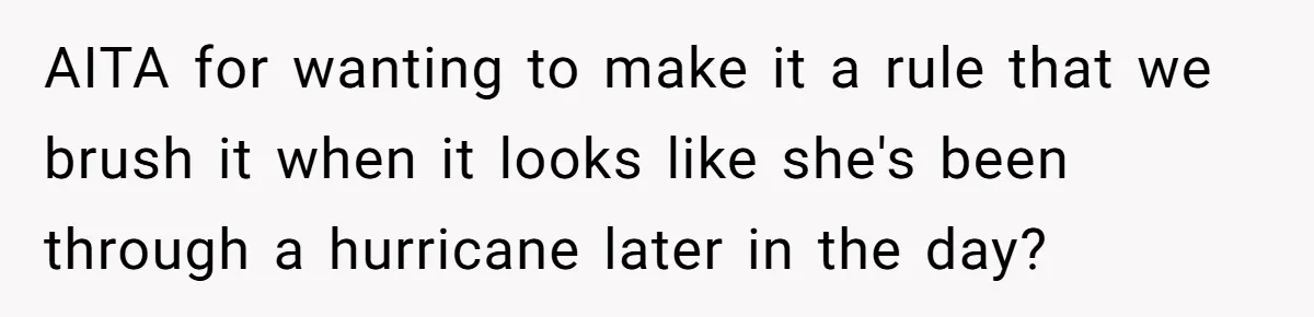 AITA for wanting to make it a rule that we brush it when it looks like she's been through a hurricane later in the day?