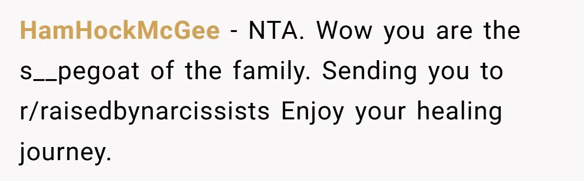 HamHockMcGee − NTA. Wow you are the s__pegoat of the family. Sending you to r/raisedbynarcissists Enjoy your healing journey.