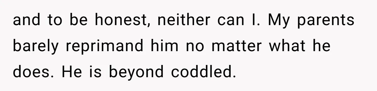 and to be honest, neither can I. My parents barely reprimand him no matter what he does. He is beyond coddled.