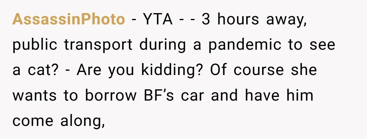 AssassinPhoto − YTA - - 3 hours away, public transport during a pandemic to see a cat? - Are you kidding? Of course she wants to borrow BF’s car and...