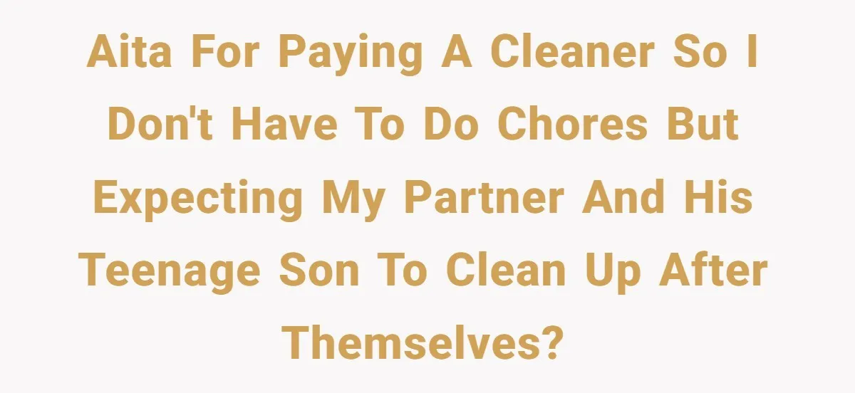 AITA for paying a cleaner so I don't have to do chores but expecting my partner and his teenage son to clean up after themselves?
