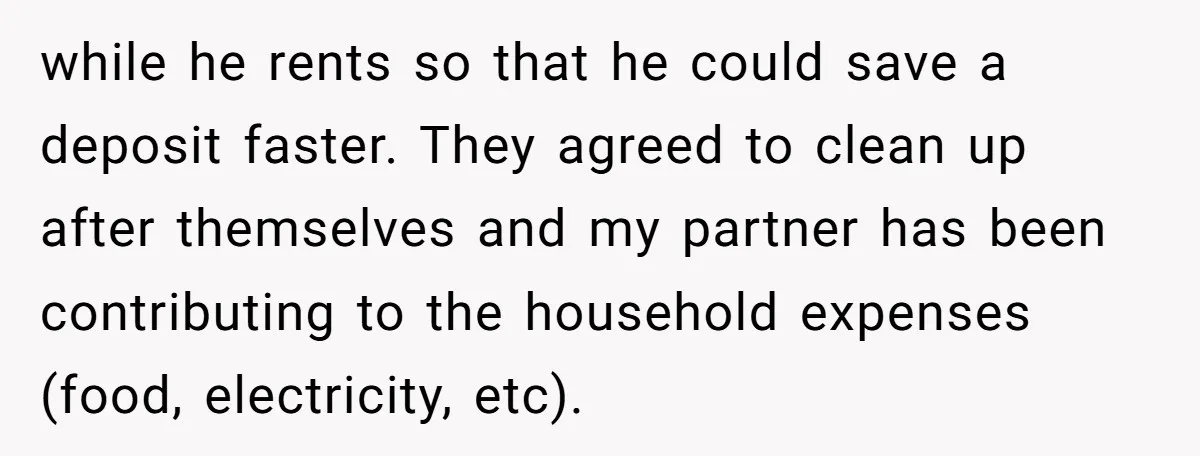 while he rents so that he could save a deposit faster. They agreed to clean up after themselves and my partner has been contributing to the household expenses (food, electricity,...