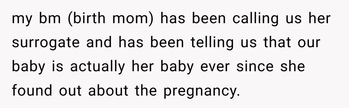 my bm (birth mom) has been calling us her surrogate and has been telling us that our baby is actually her baby ever since she found out about the pregnancy.