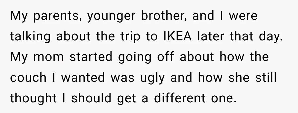 My parents, younger brother, and I were talking about the trip to IKEA later that day. My mom started going off about how the couch I wanted was ugly and...