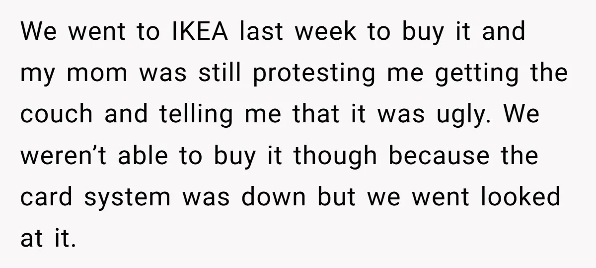 We went to IKEA last week to buy it and my mom was still protesting me getting the couch and telling me that it was ugly. We weren’t able to...
