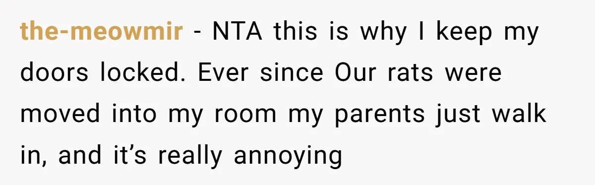 the-meowmir − NTA this is why I keep my doors locked. Ever since Our rats were moved into my room my parents just walk in, and it’s really annoying