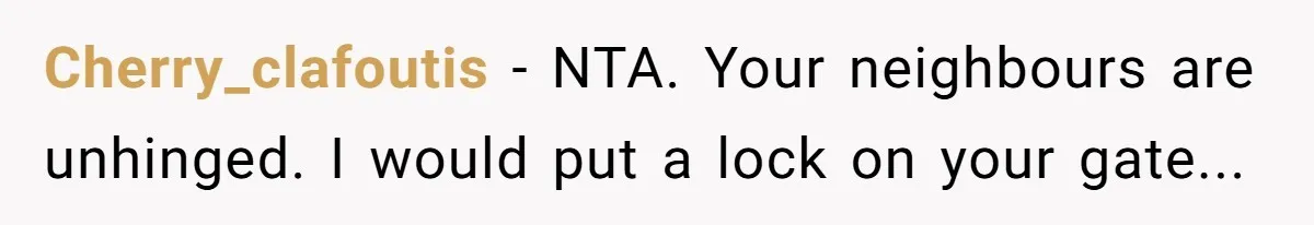 Cherry_clafoutis − NTA. Your neighbours are unhinged. I would put a lock on your gate...