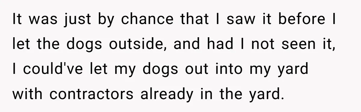 It was just by chance that I saw it before I let the dogs outside, and had I not seen it, I could've let my dogs out into my yard...