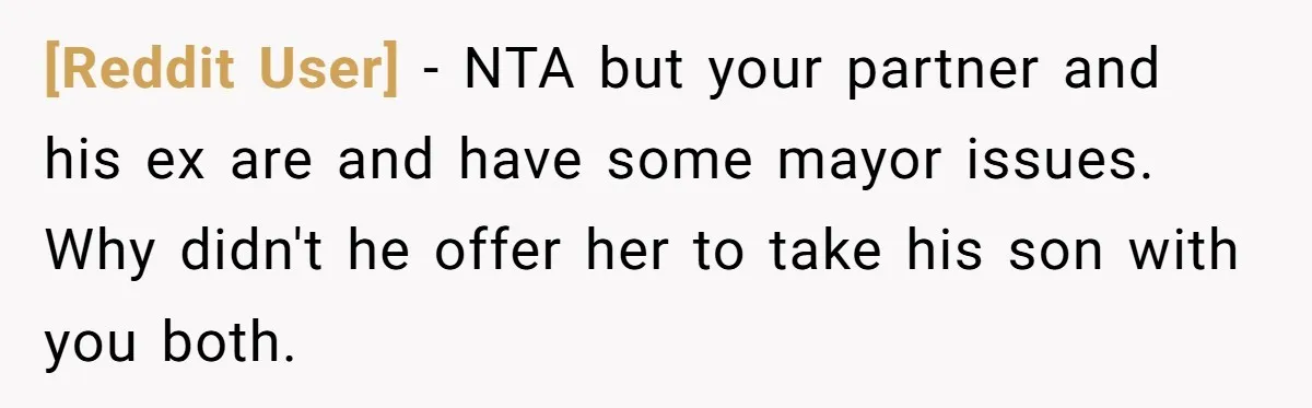 [Reddit User] − NTA but your partner and his ex are and have some mayor issues. Why didn't he offer her to take his son with you both.