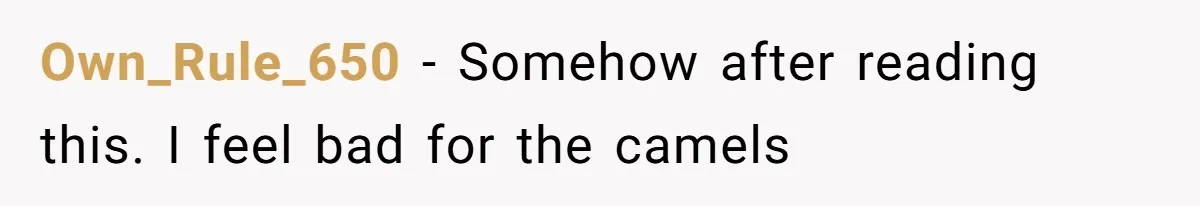 Own_Rule_650 − Somehow after reading this. I feel bad for the camels