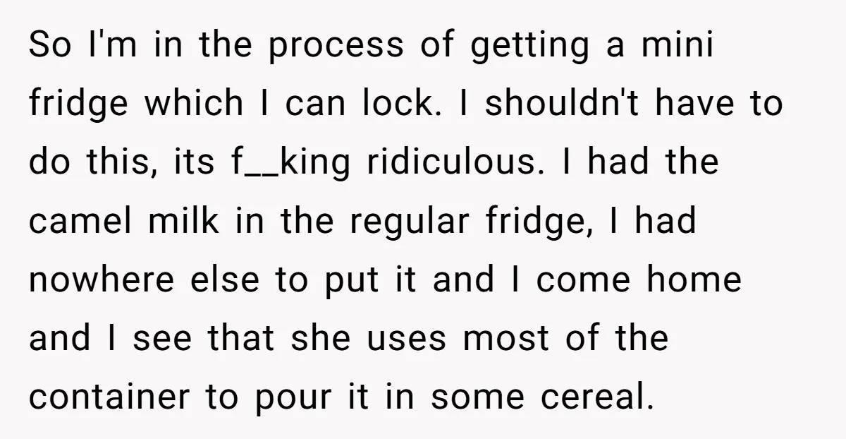 So I'm in the process of getting a mini fridge which I can lock. I shouldn't have to do this, its f__king ridiculous. I had the camel milk in the...