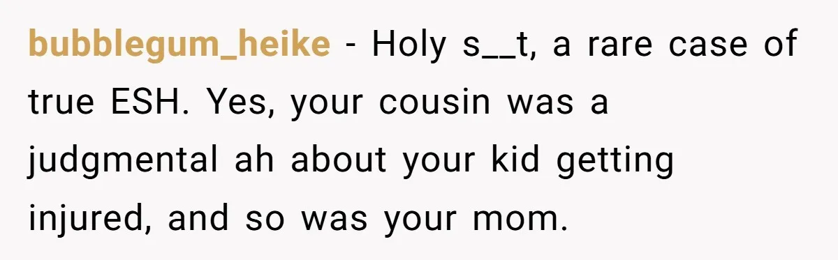 bubblegum_heike − Holy s__t, a rare case of true ESH. Yes, your cousin was a judgmental ah about your kid getting injured, and so was your mom.