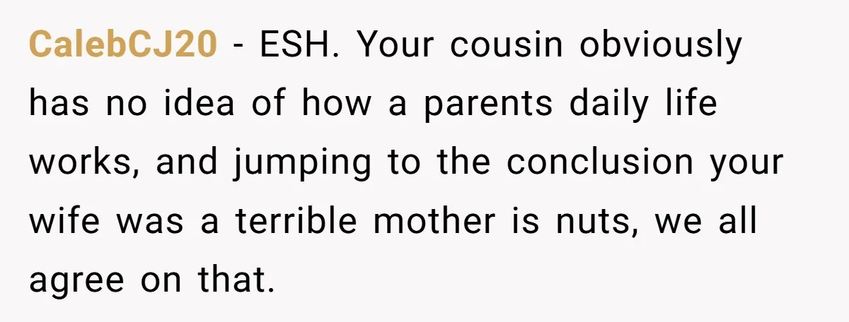 CalebCJ20 − ESH. Your cousin obviously has no idea of how a parents daily life works, and jumping to the conclusion your wife was a terrible mother is nuts, we...