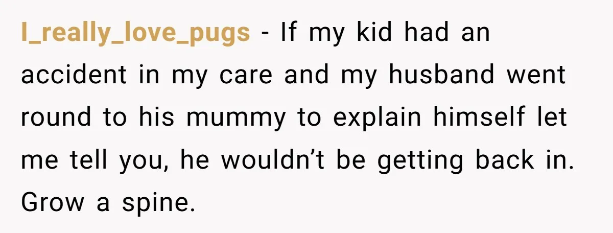 I_really_love_pugs − If my kid had an accident in my care and my husband went round to his mummy to explain himself let me tell you, he wouldn’t be getting...