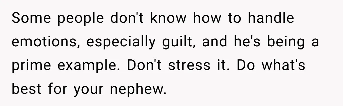 Some people don't know how to handle emotions, especially guilt, and he's being a prime example. Don't stress it. Do what's best for your nephew.