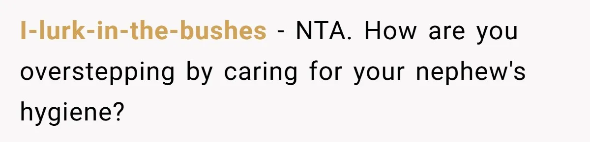 I-lurk-in-the-bushes − NTA. How are you overstepping by caring for your nephew's hygiene?