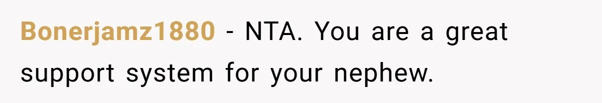 Bonerjamz1880 − NTA. You are a great support system for your nephew.
