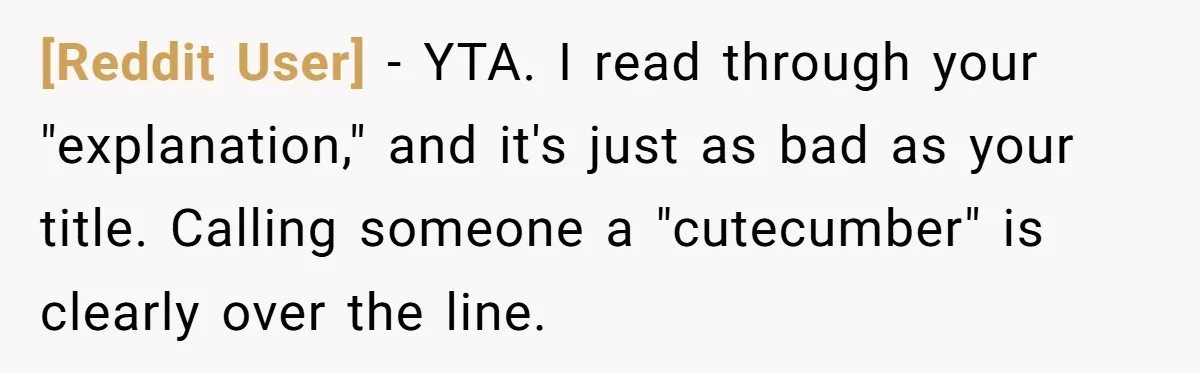 [Reddit User] − YTA. I read through your "explanation," and it's just as bad as your title. Calling someone a "cutecumber" is clearly over the line.