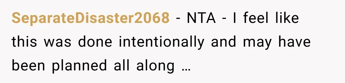 SeparateDisaster2068 − NTA - I feel like this was done intentionally and may have been planned all along …