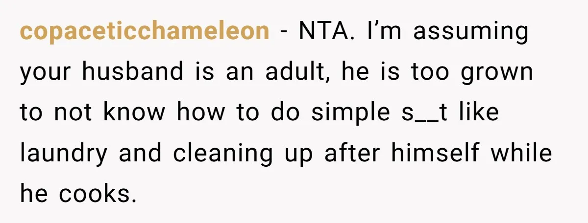 copaceticchameleon − NTA. I’m assuming your husband is an adult, he is too grown to not know how to do simple s__t like laundry and cleaning up after himself while...